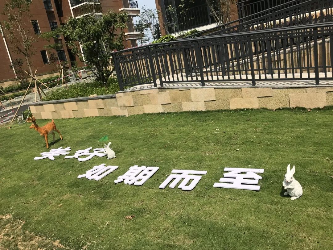2024新澳门原料网大全