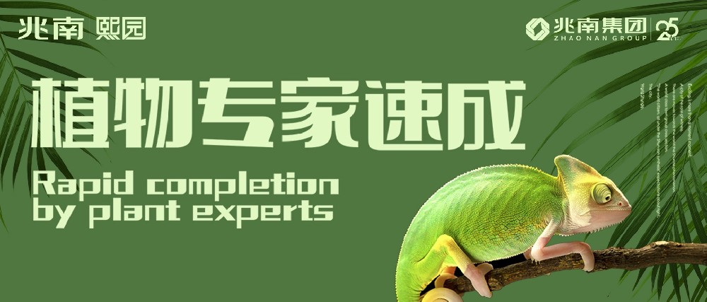 植物专家速成